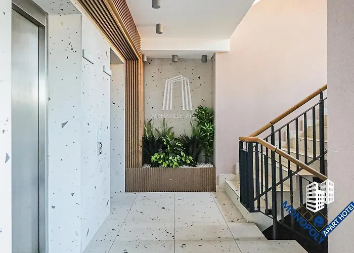 The First One * 布拉索夫